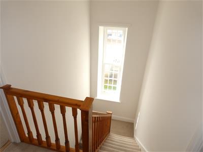 Picture 13